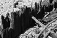 What Remains 21